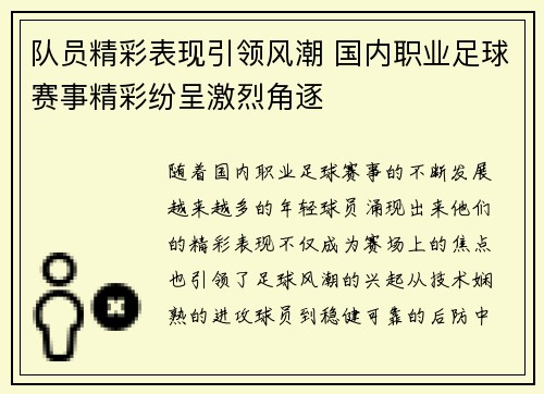队员精彩表现引领风潮 国内职业足球赛事精彩纷呈激烈角逐